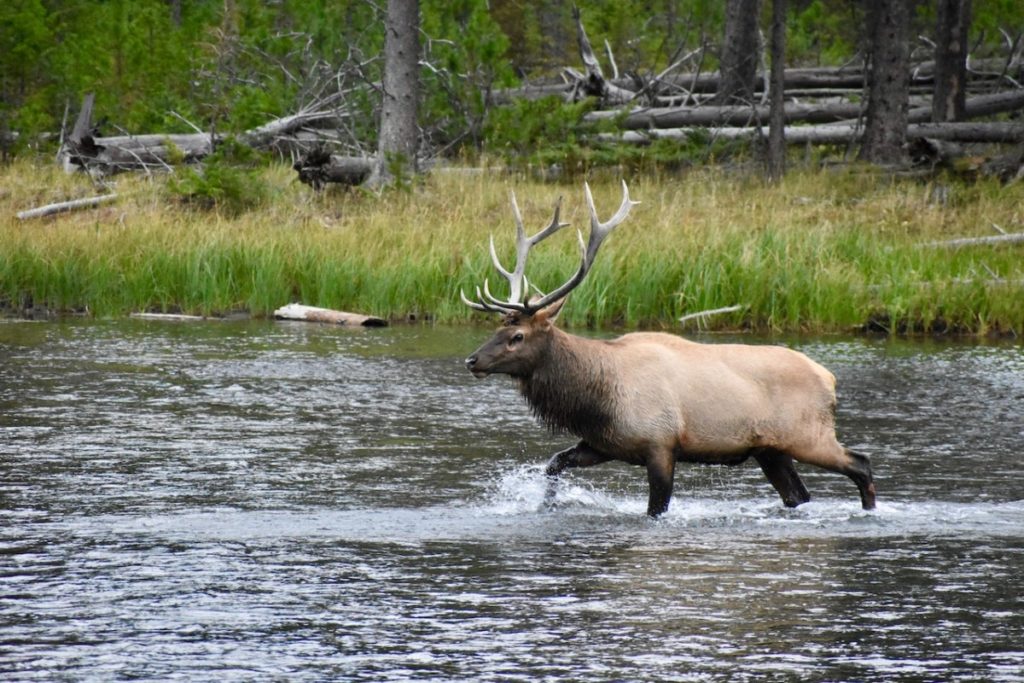 yellowstone itinerary