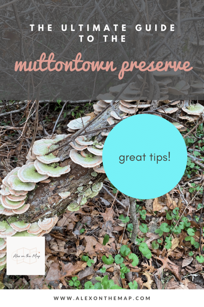muttontown preserve long island