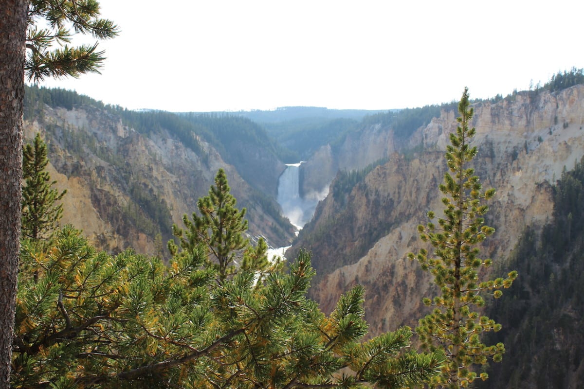33 of the Absolute Best Hikes in Yellowstone National Park - Alex on ...