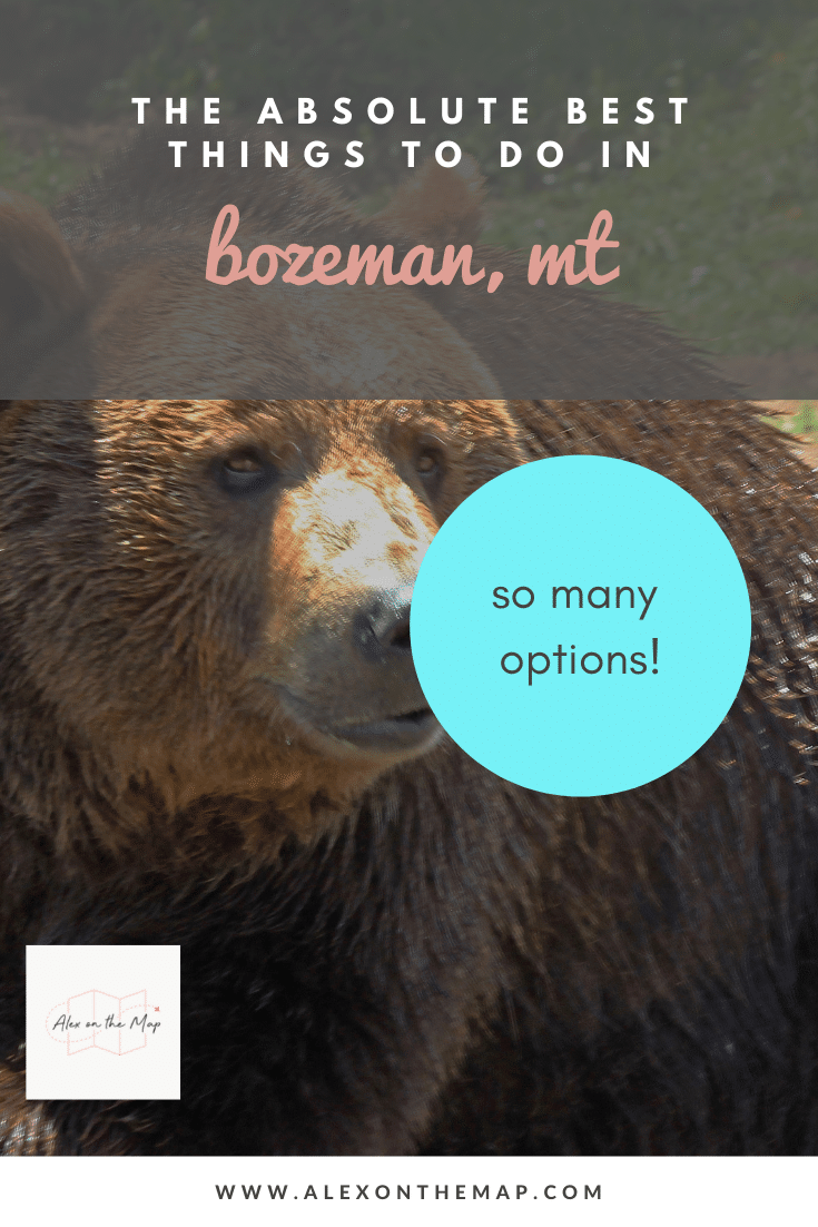 bozeman activities