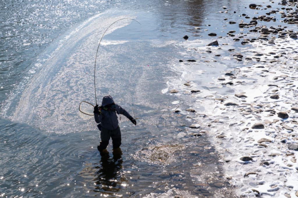 fly fishing in bozeman montana