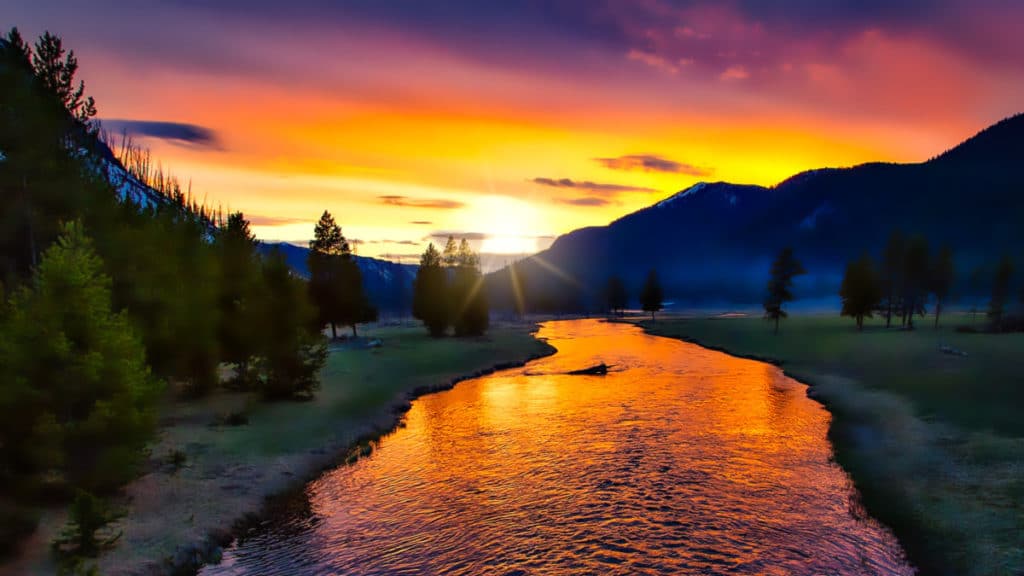 yellowstone national park--one of the best things to do in bozeman
