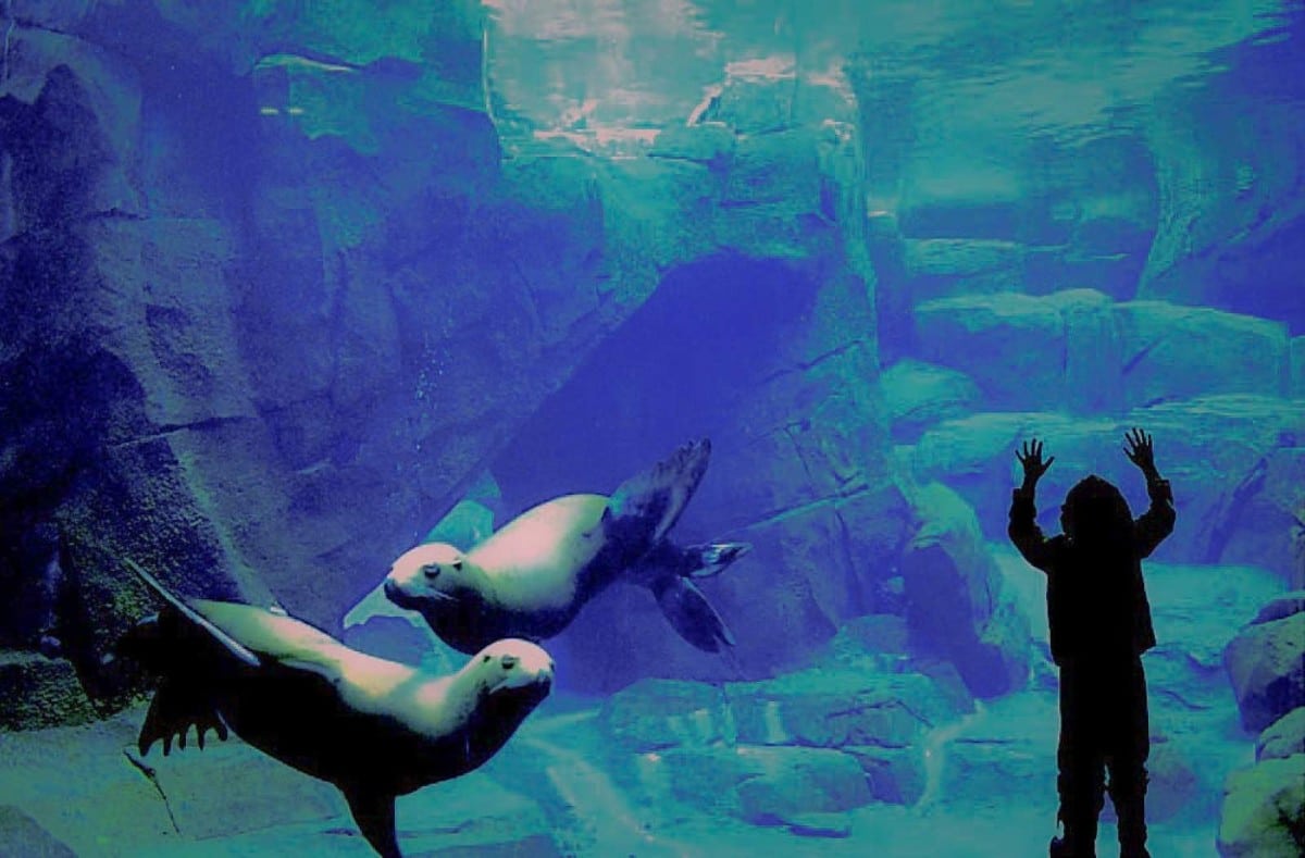 things to do in seward ak