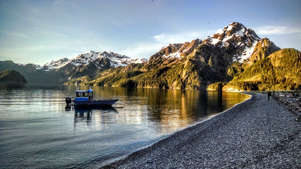 things to do in seward