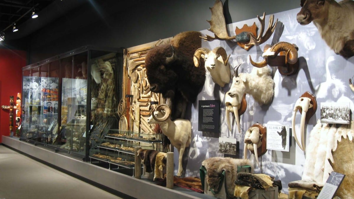 things to do in valdez ak