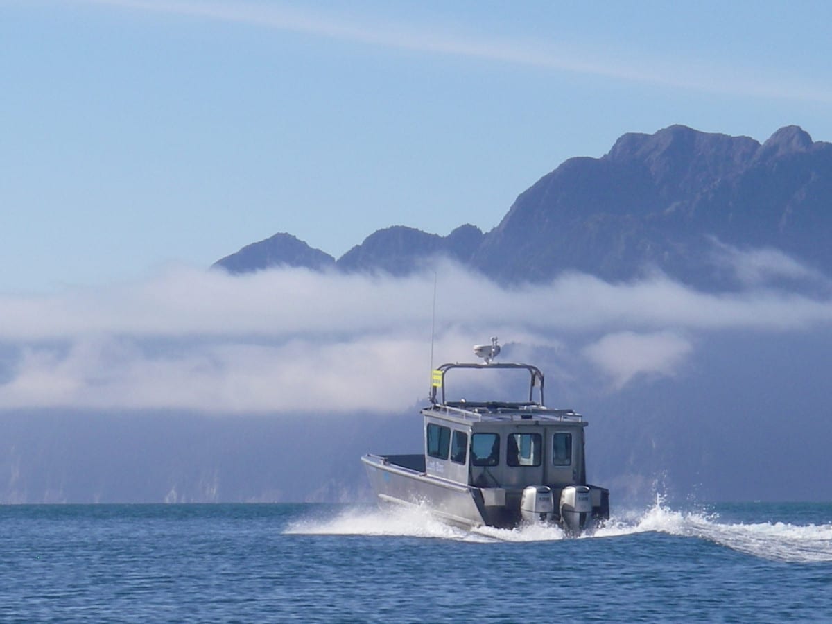 seward water taxi