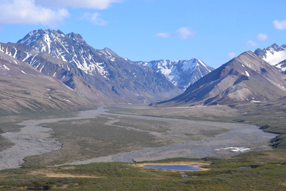 denali campgrounds