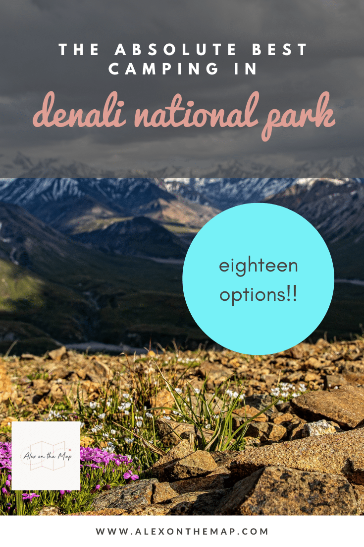 denali national park campgrounds