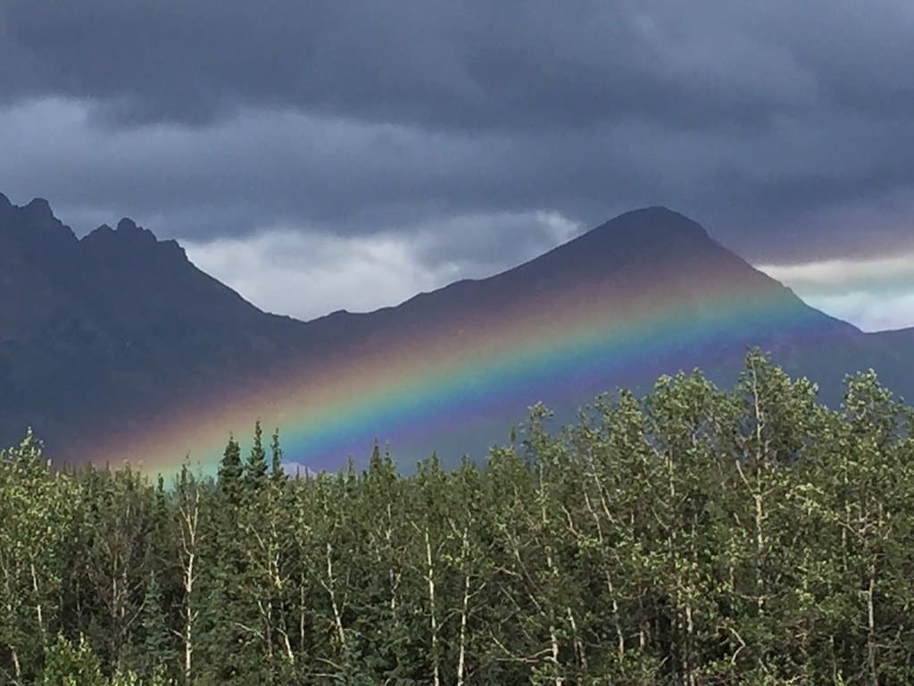 camping in denali