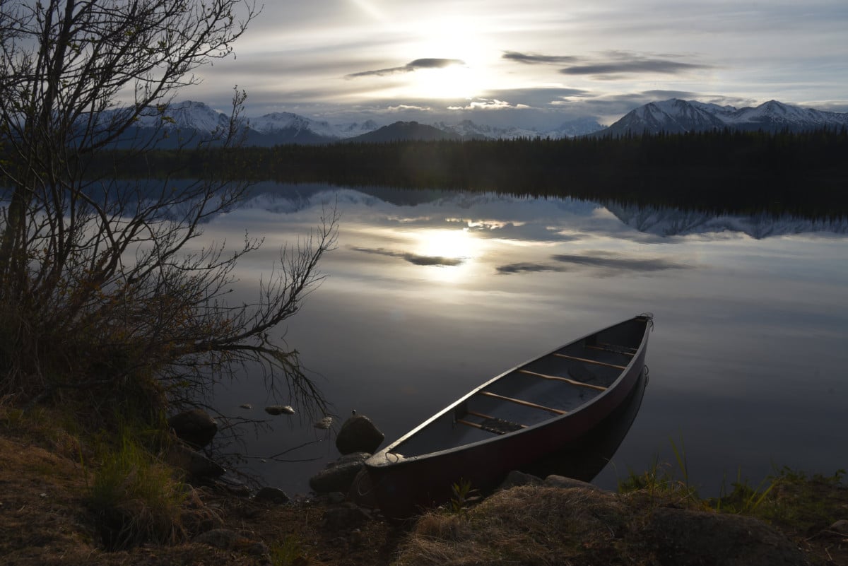 denali camping