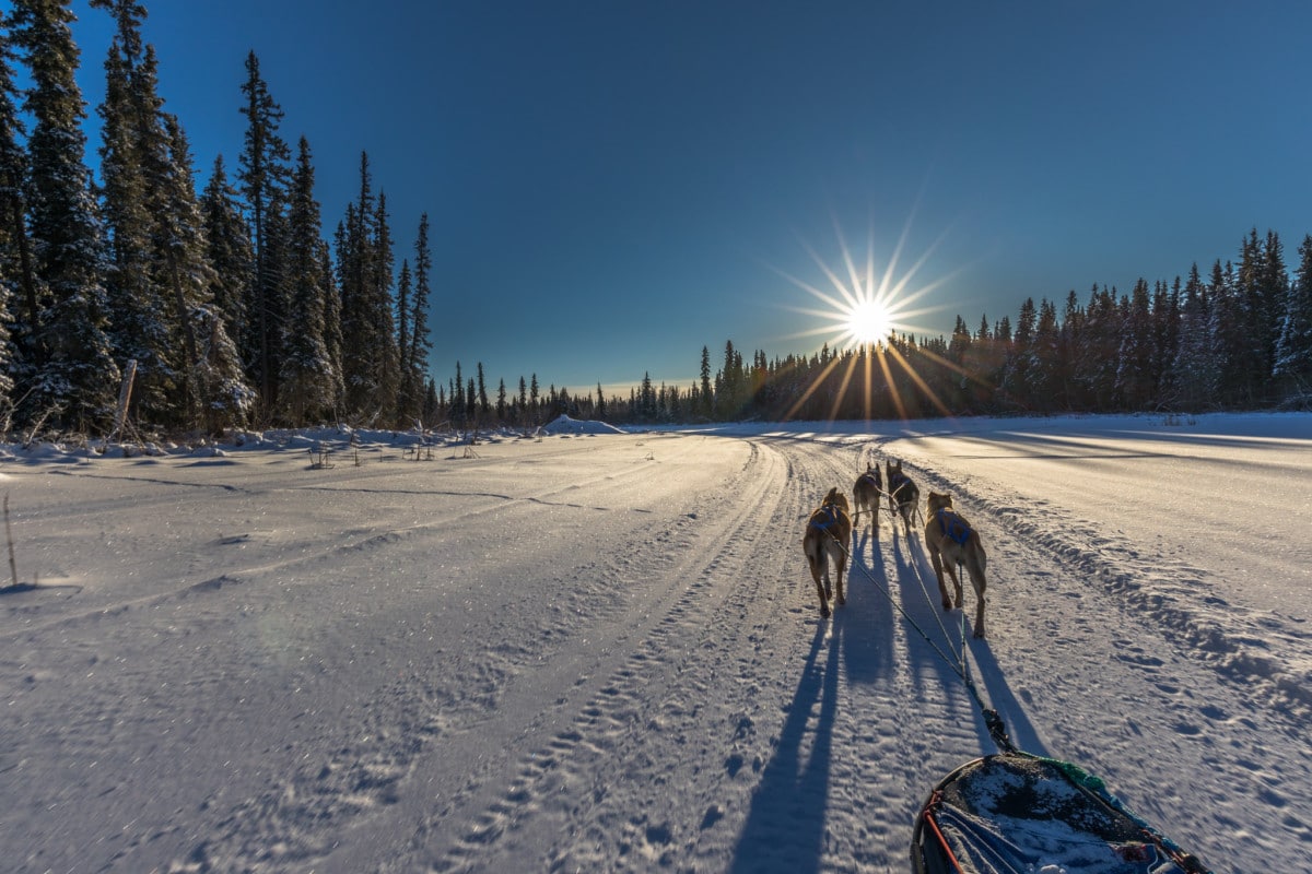 campgrounds in denali