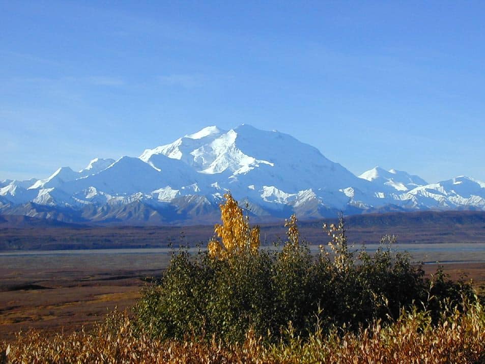 rv camping denali national park