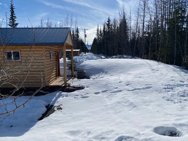 denali campgrounds