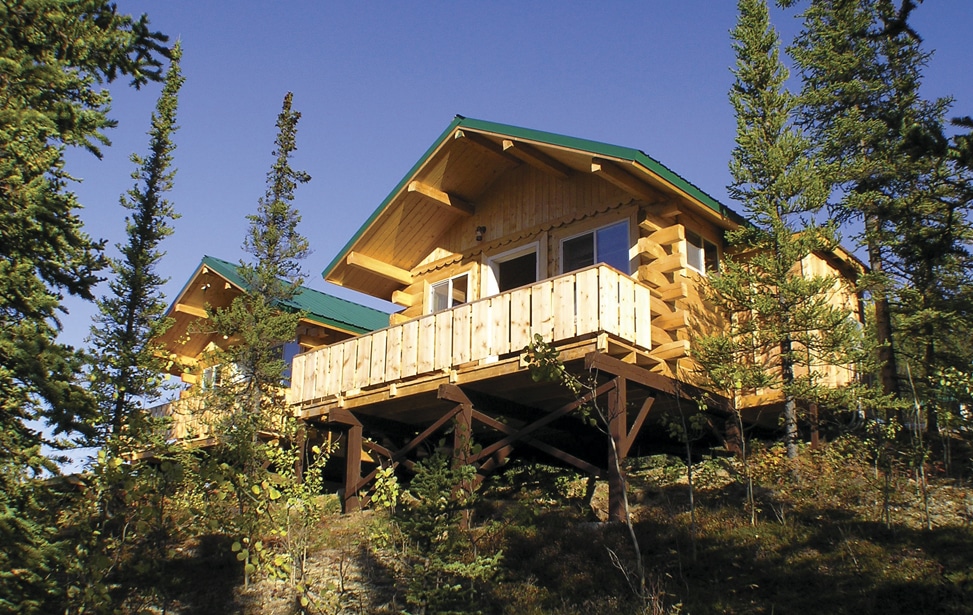 denali camping