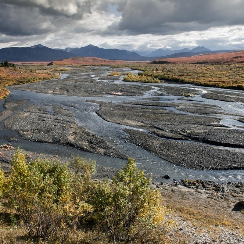 denali national park camping