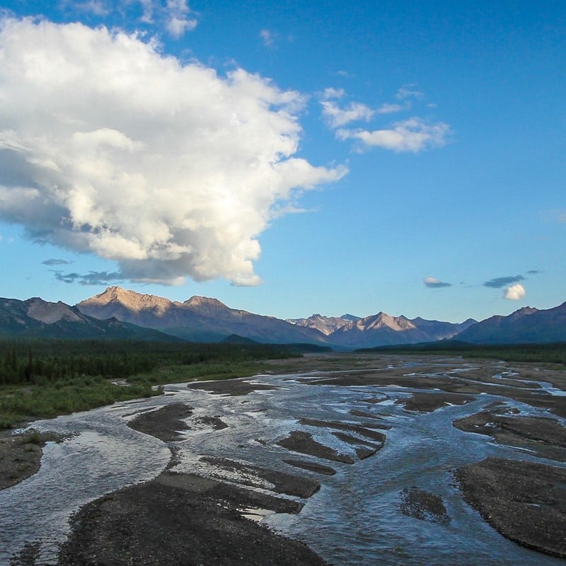 denali national park camping
