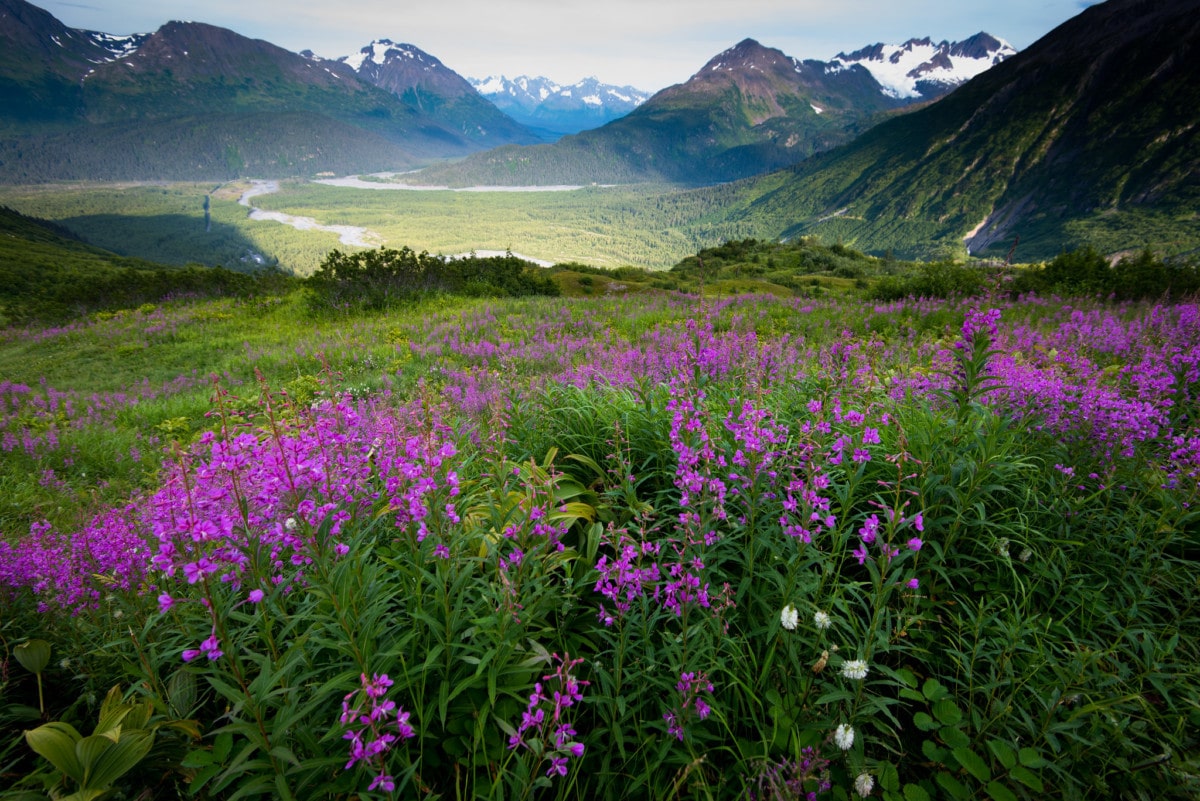hiking near seward ak