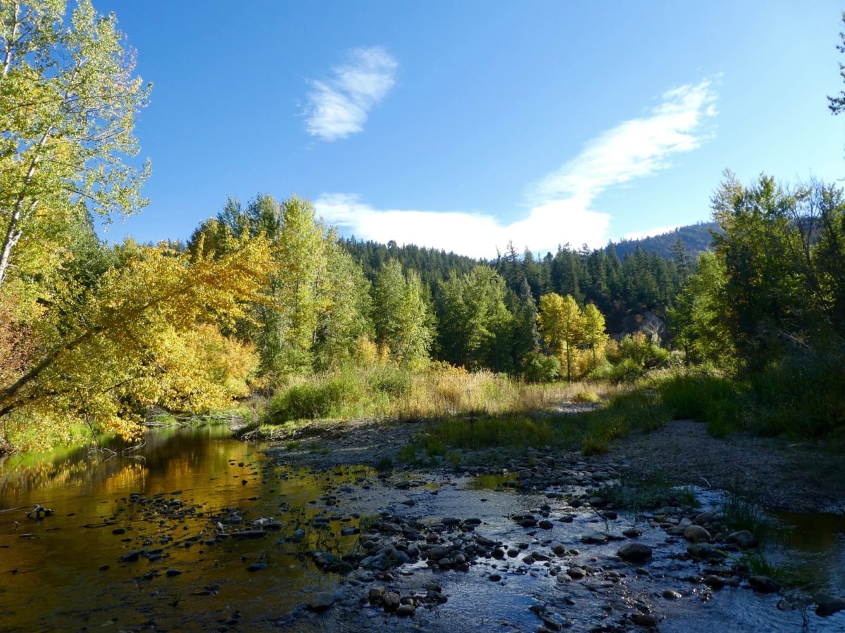 camping near missoula