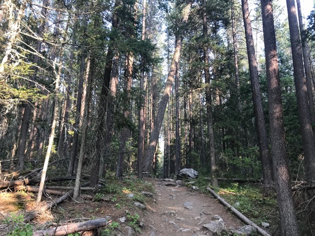 campgrounds near bozeman montana