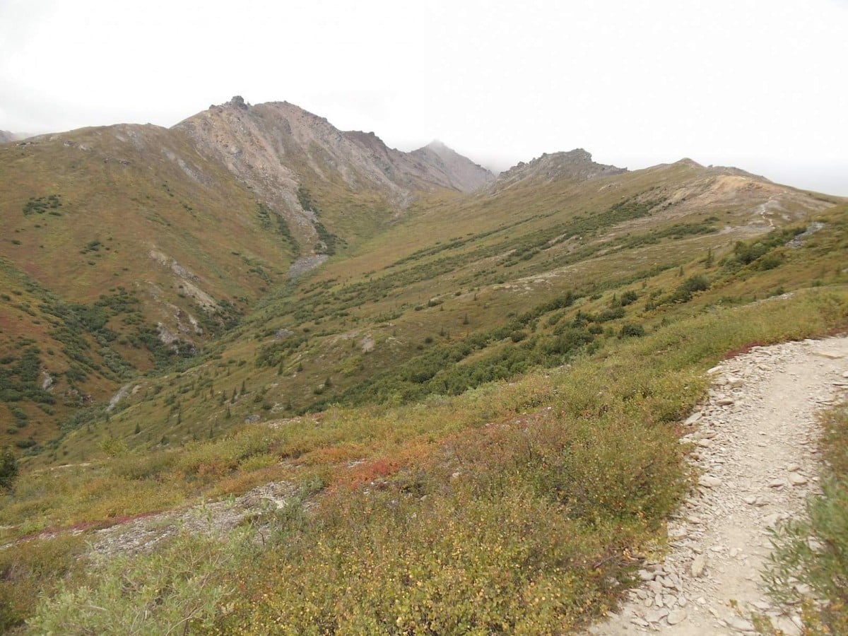 hiking in alaska