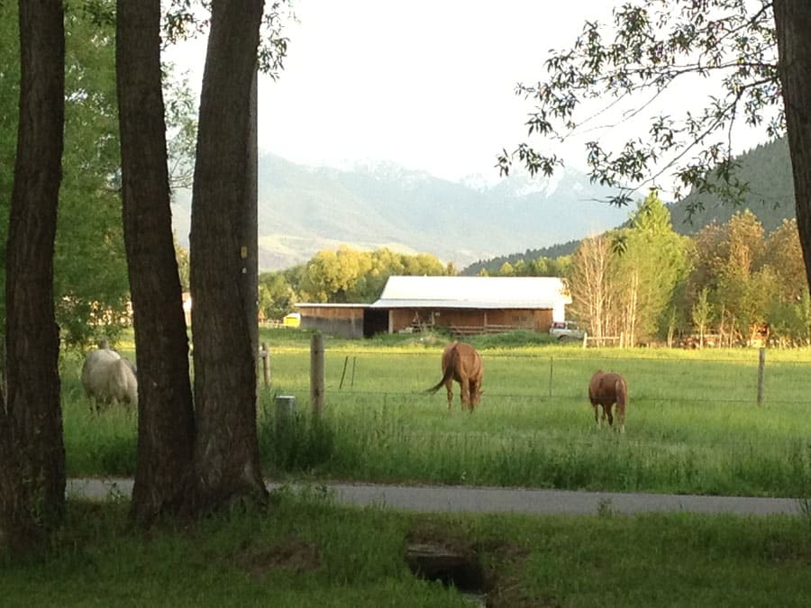 campsites near bozeman