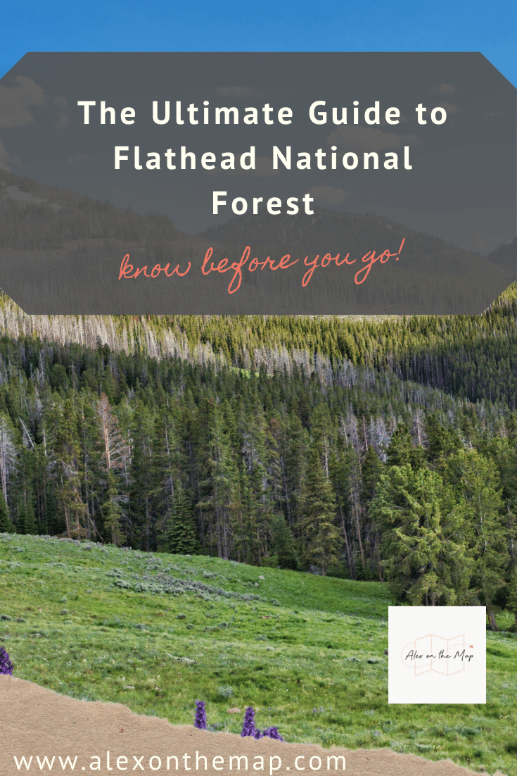 flathead national forest
