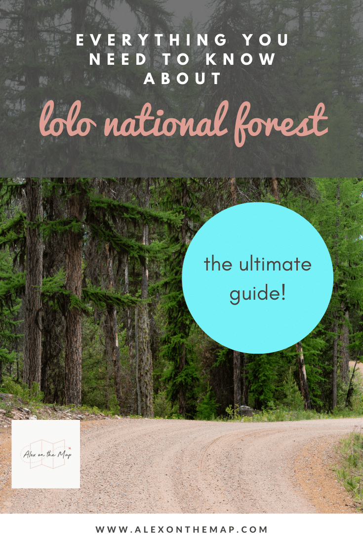 lolo national forest