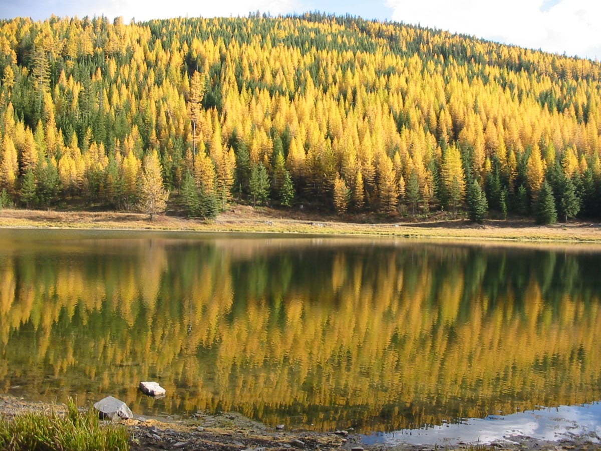 lolo missoula montana