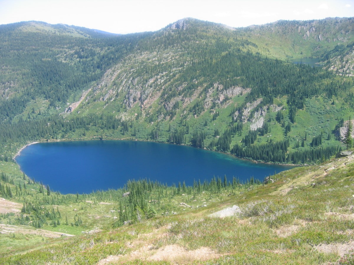 lolo national forest