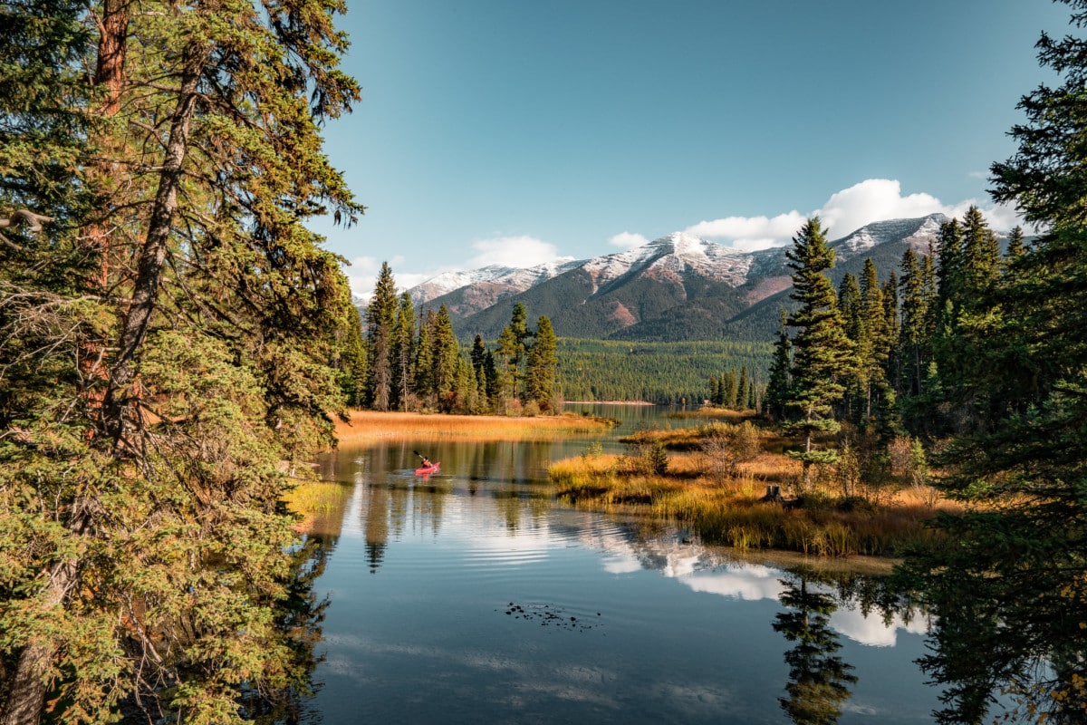flathead national forest