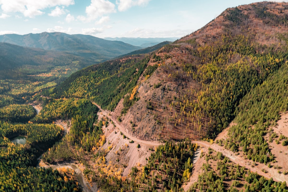 flathead national forest