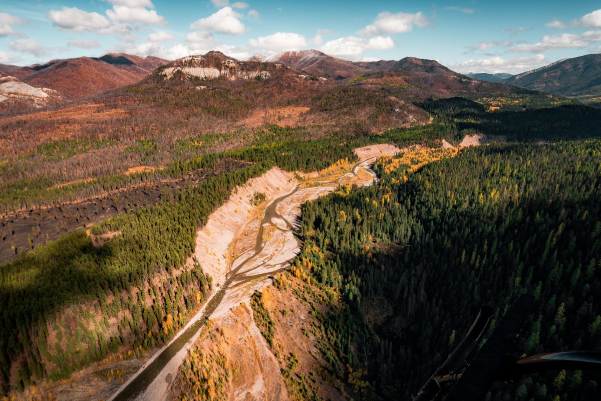 flathead national forest