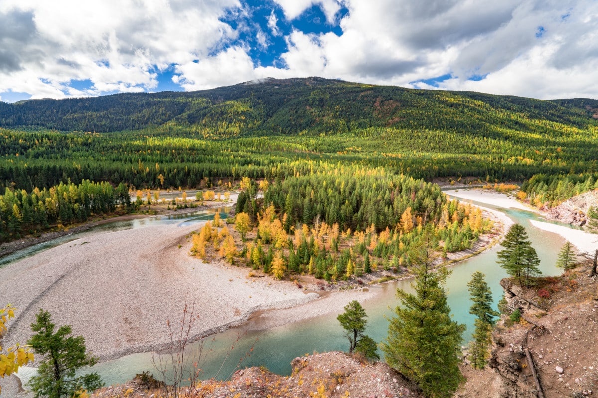 flathead national forest