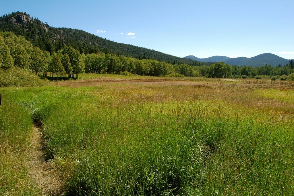 camping near boulder co