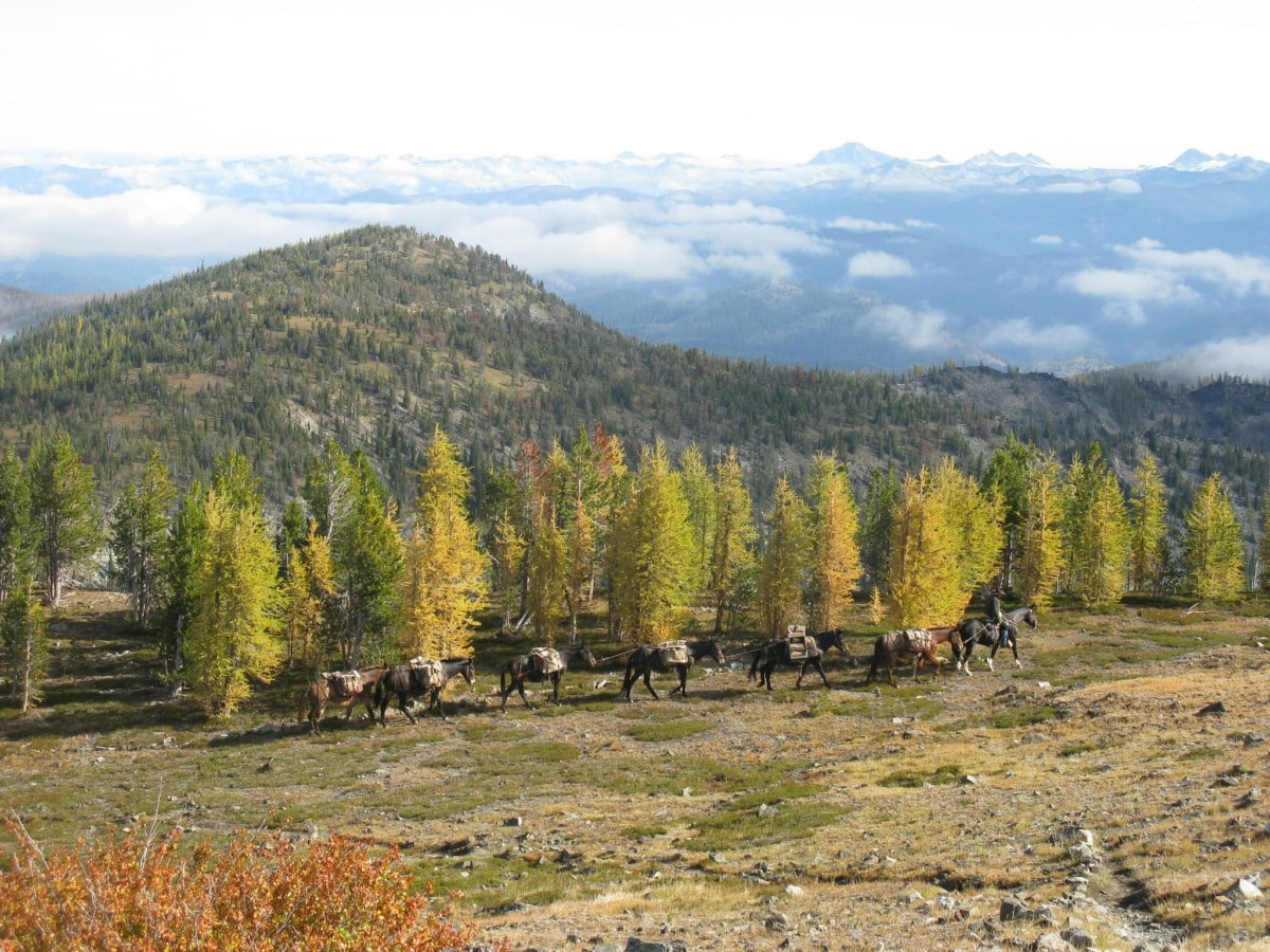 lolo national forest missoula