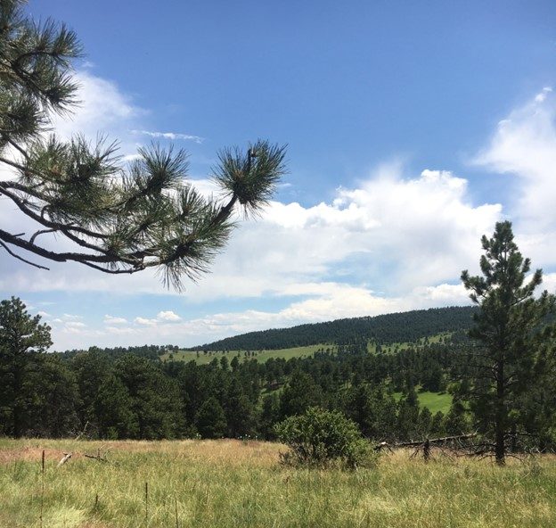 boulder colorado camping