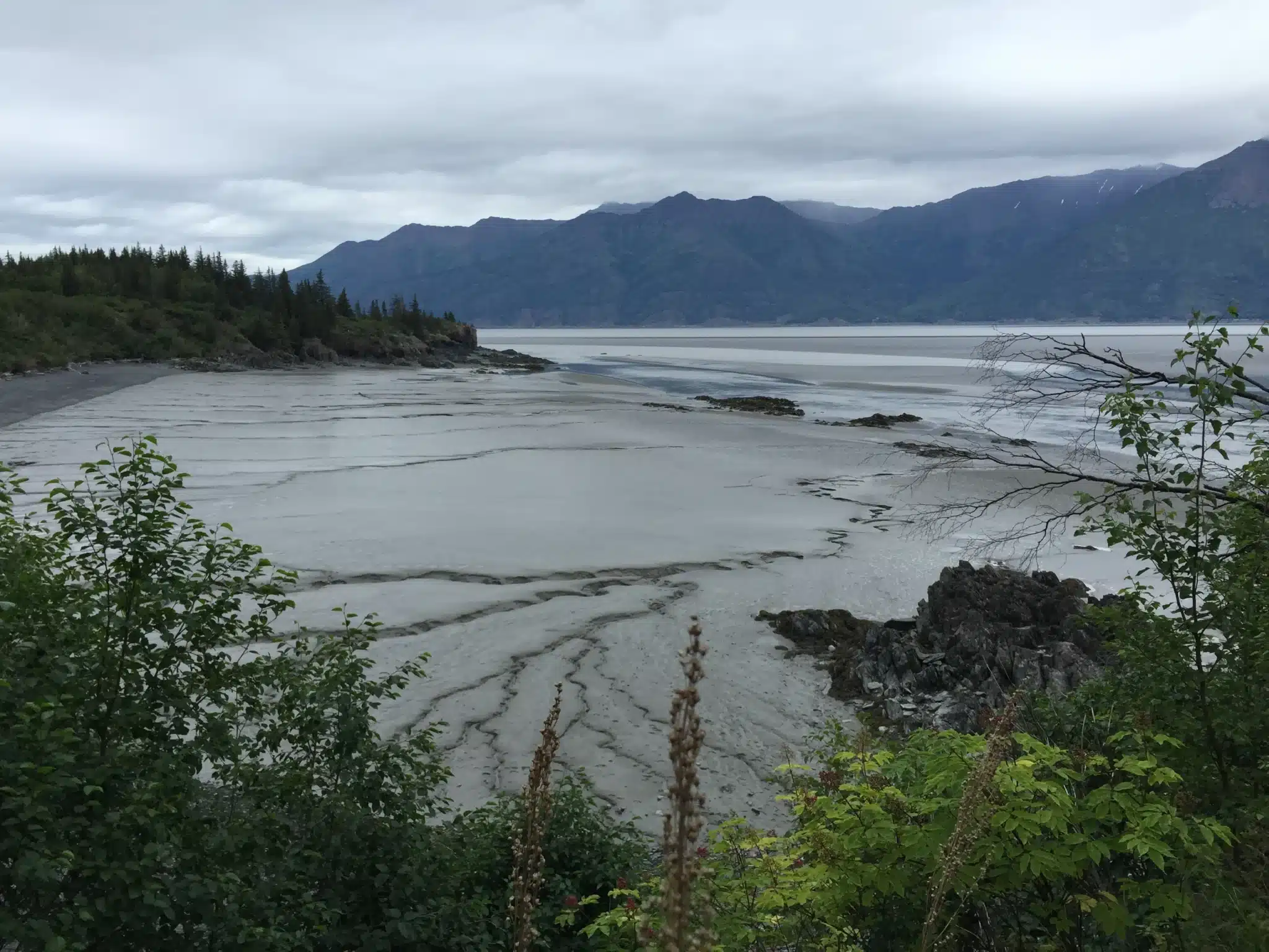 camping near anchorage