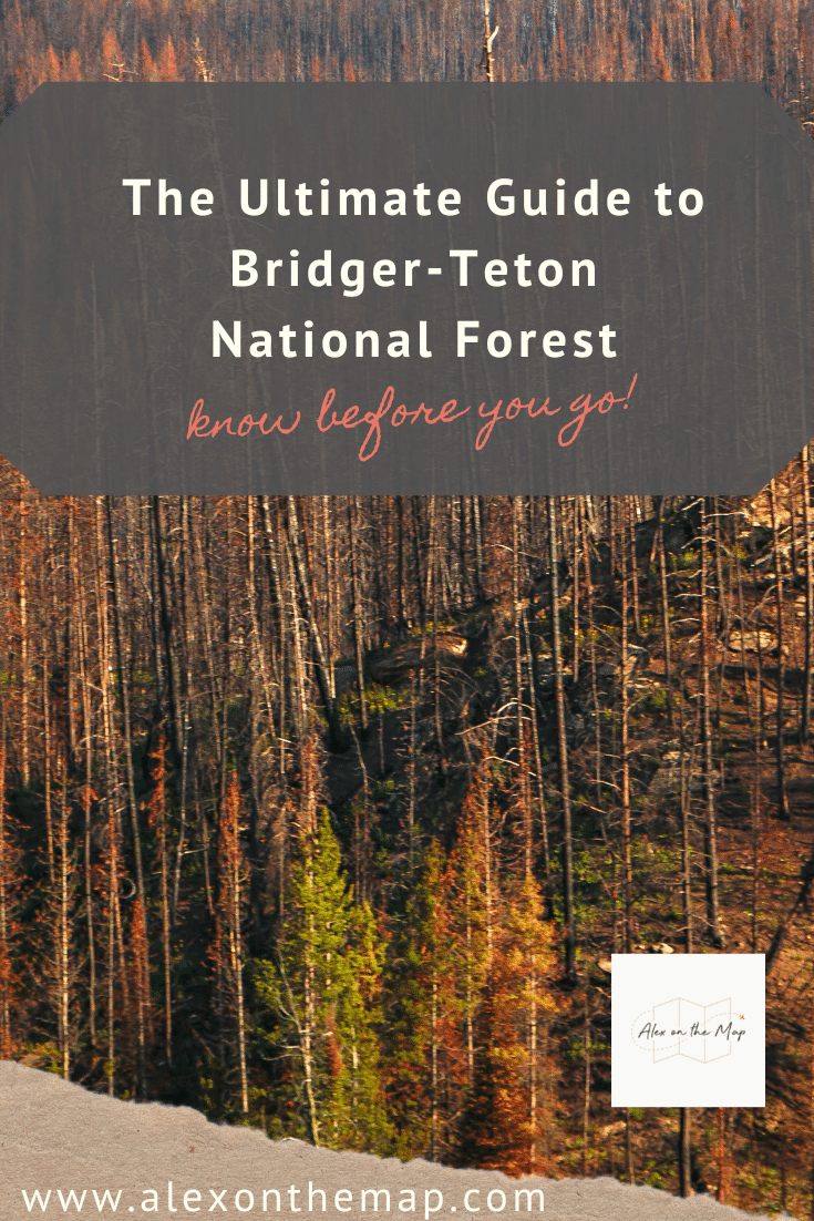 bridger-teton national forest