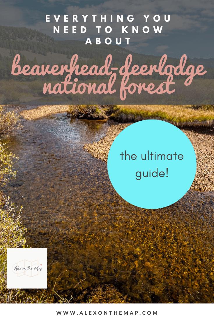 beaverhead-deerlodge national forest