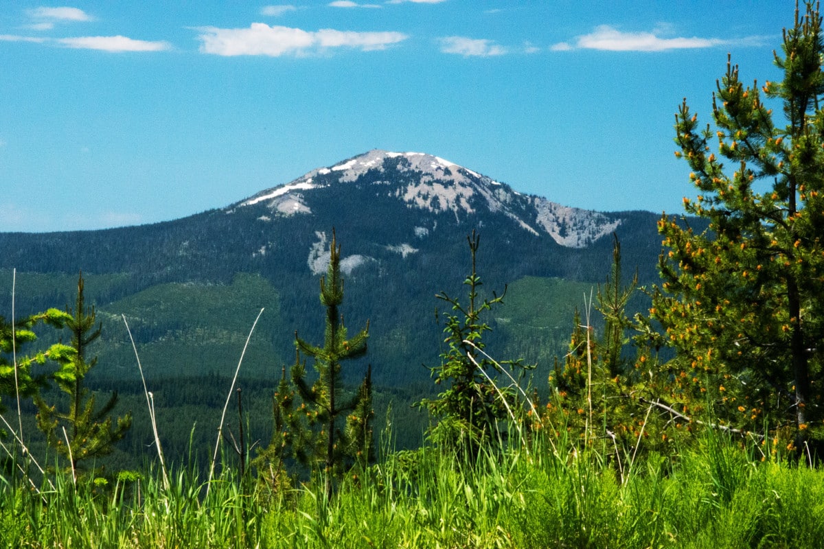 kootenai national forest