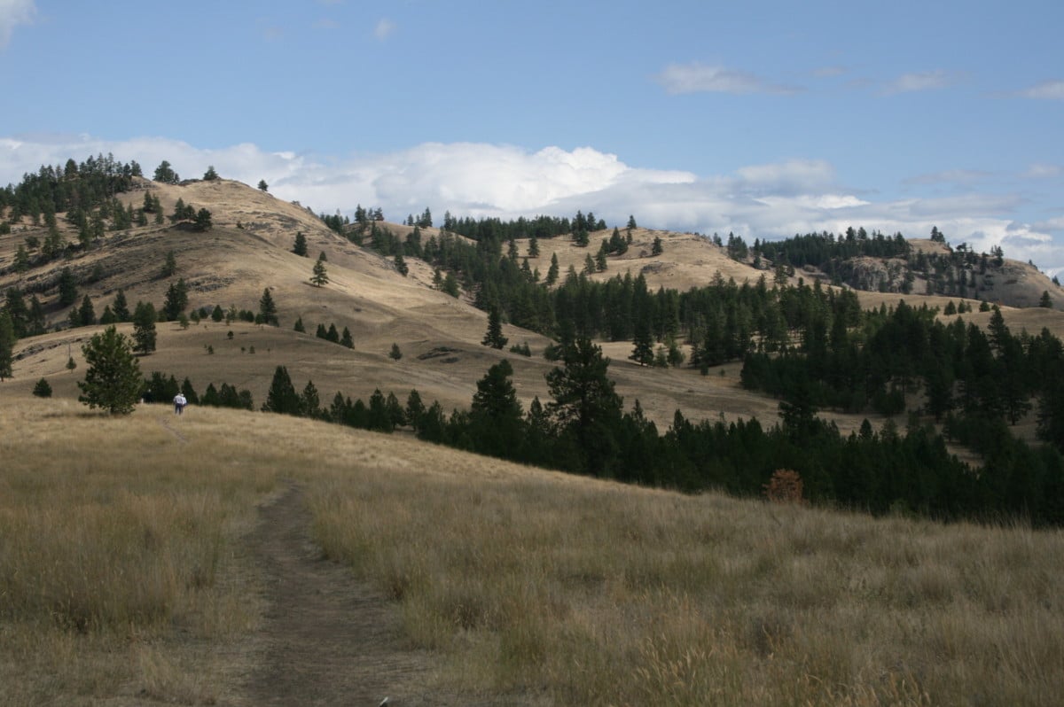 wild horse island state park