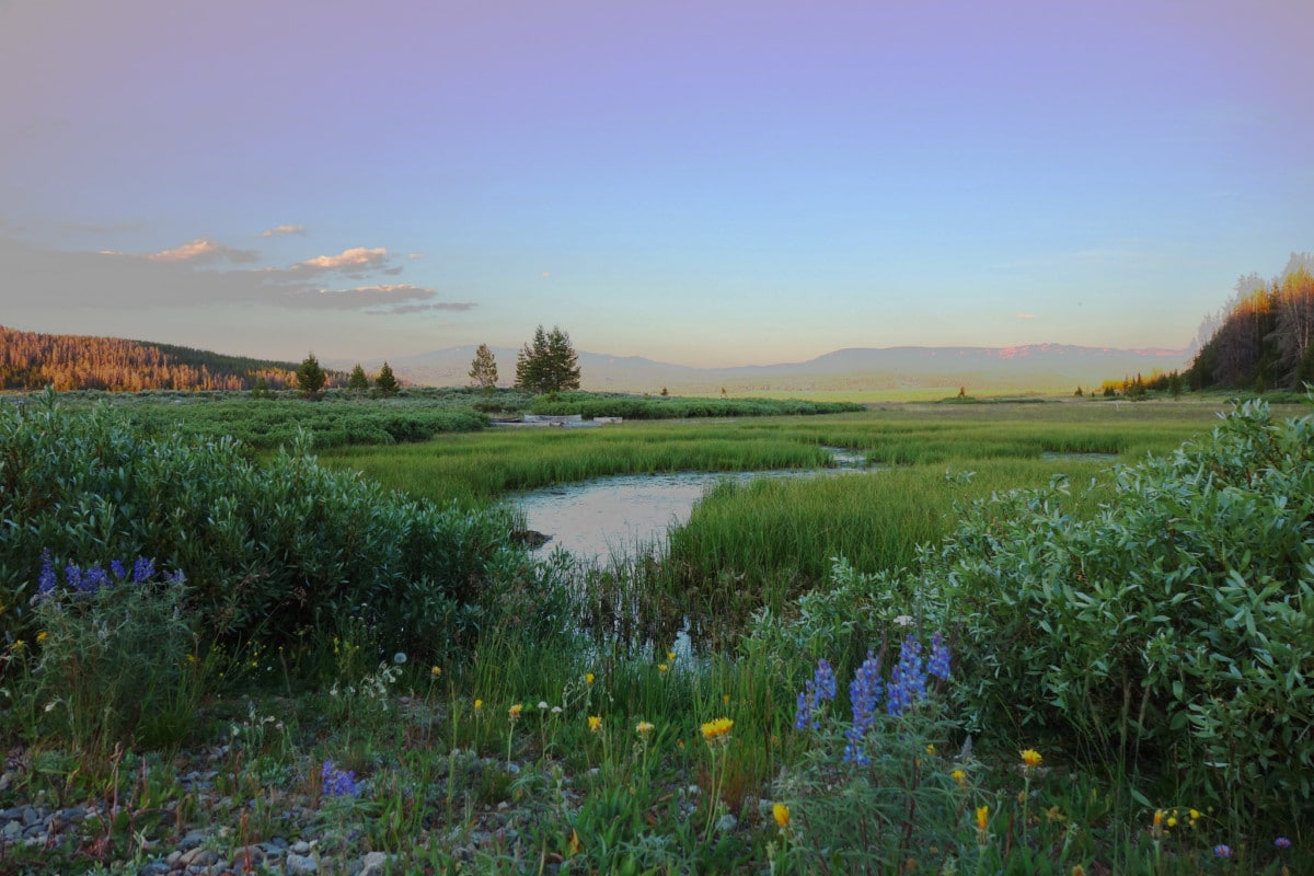 bridger-teton national forest