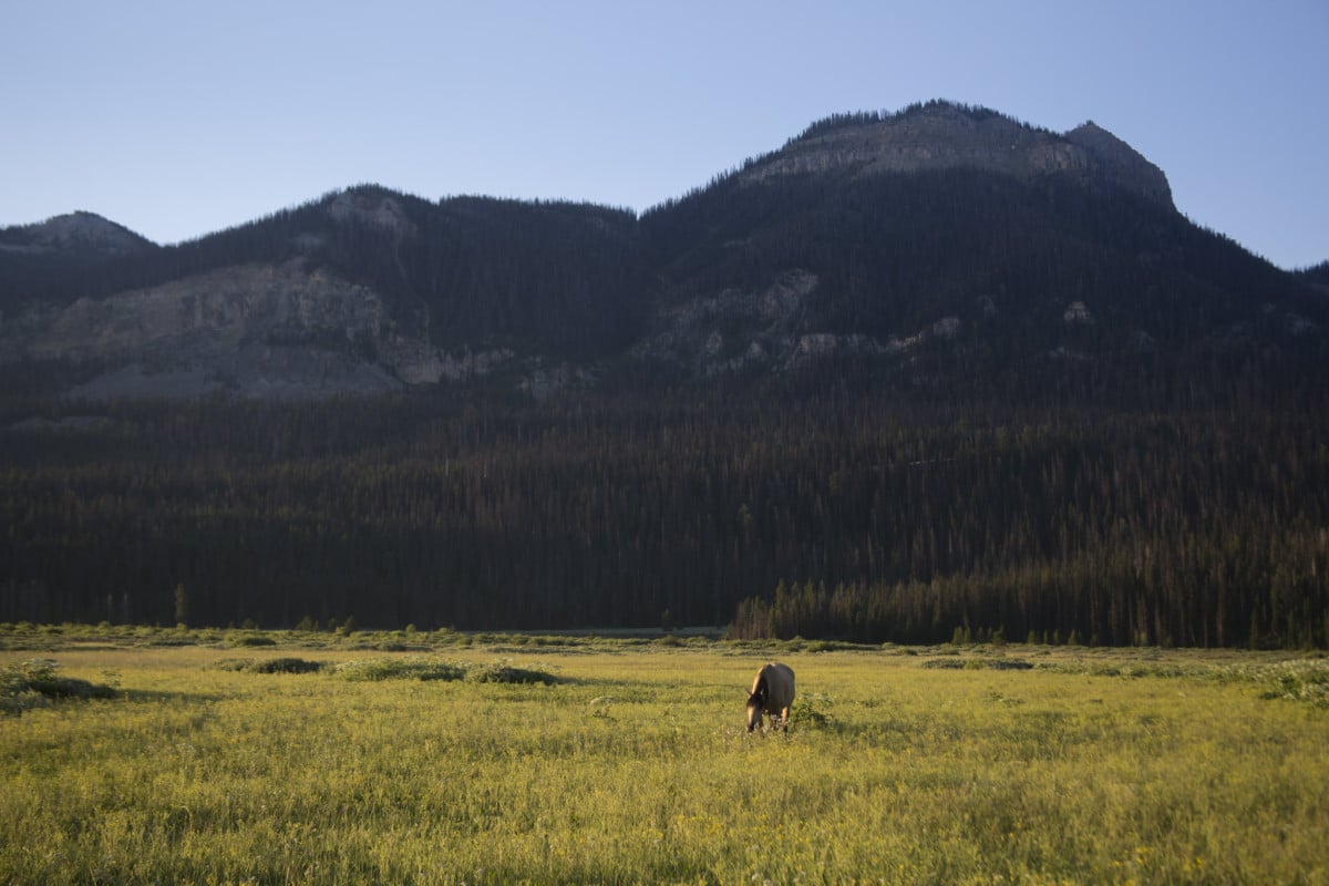 bridger-teton national forest