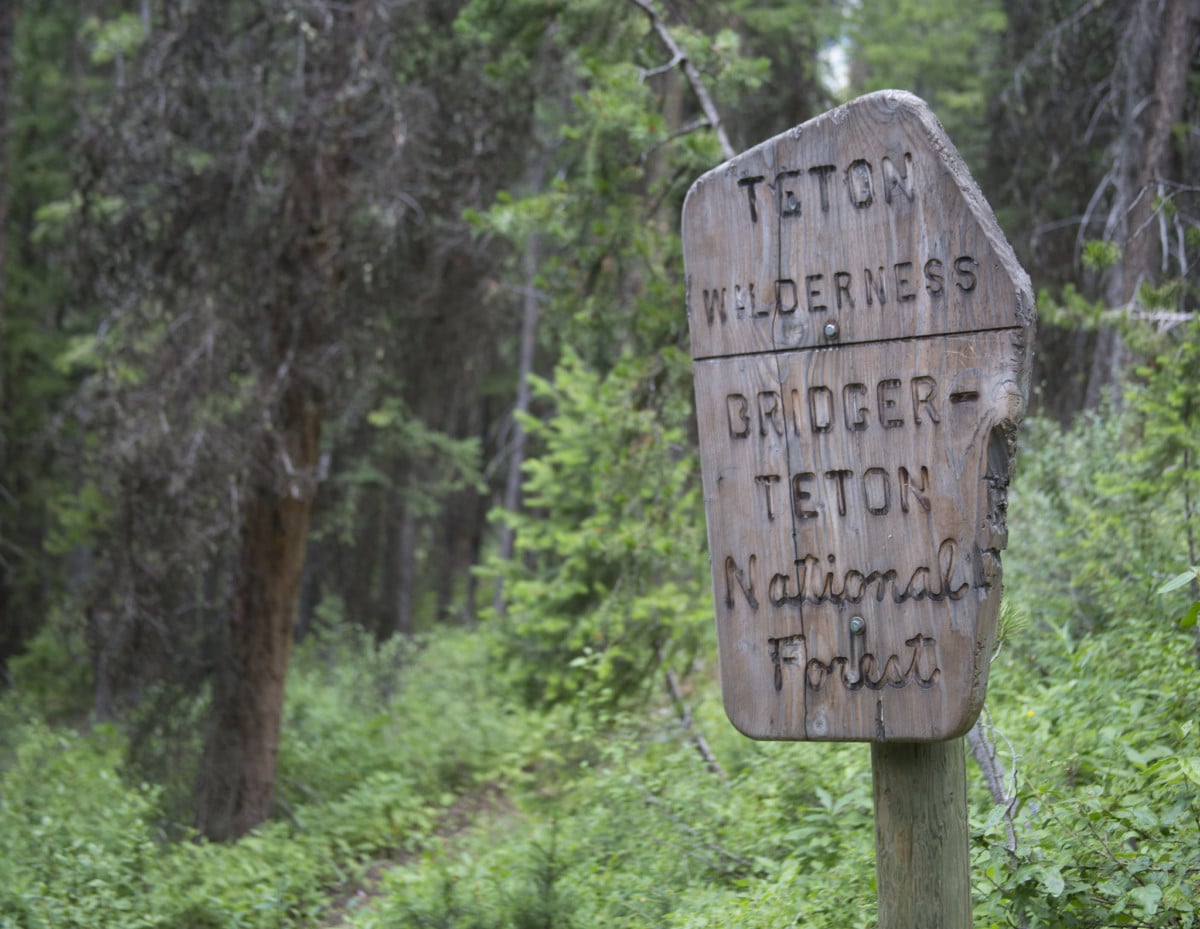 bridger-teton national forest