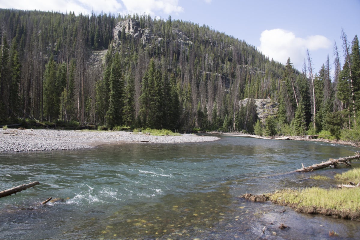 bridger-teton national forest