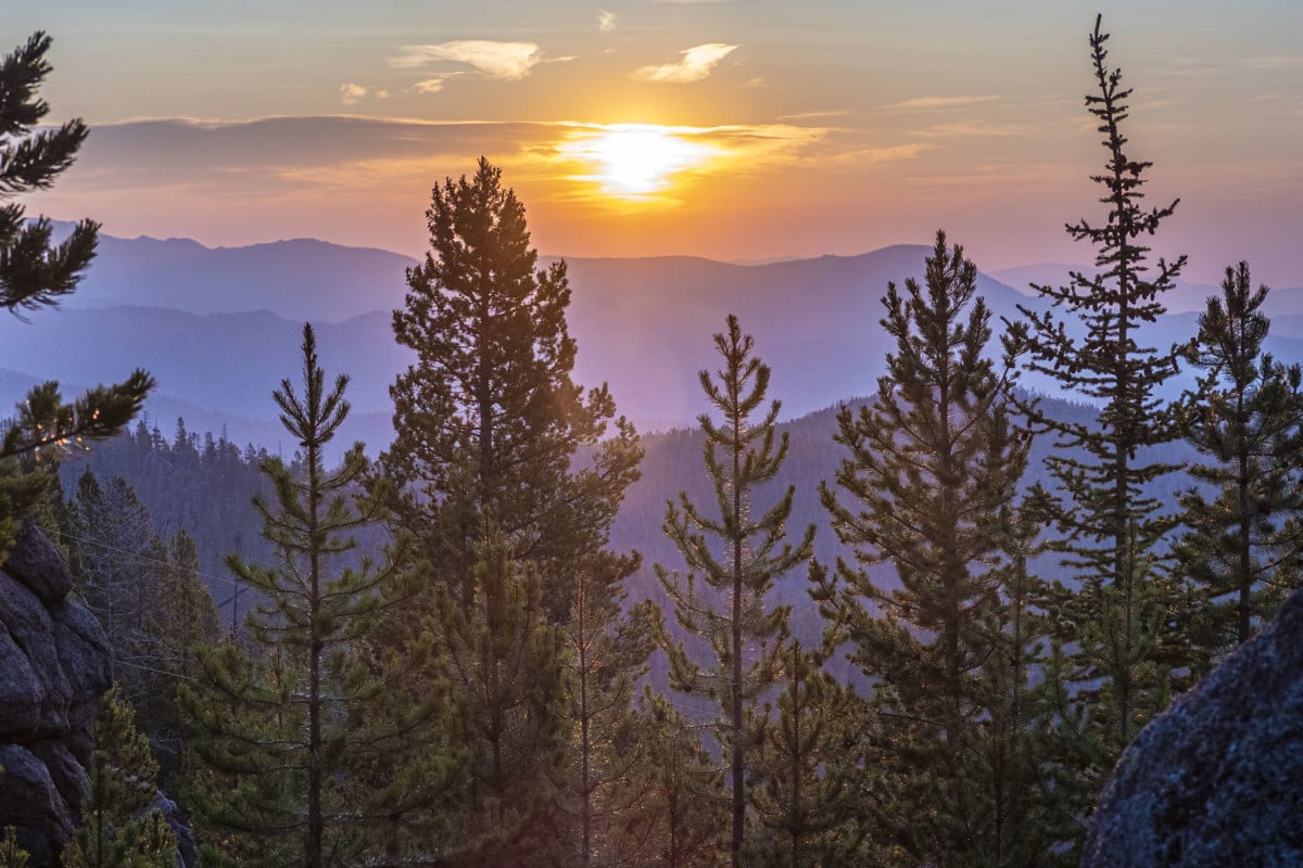 beaverhead-deerlodge national forest