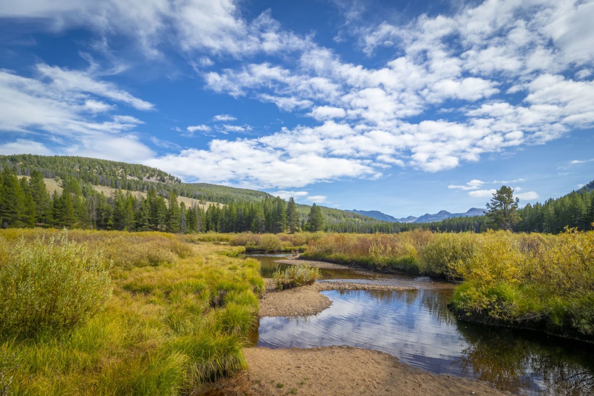 beaverhead-deerlodge national forest