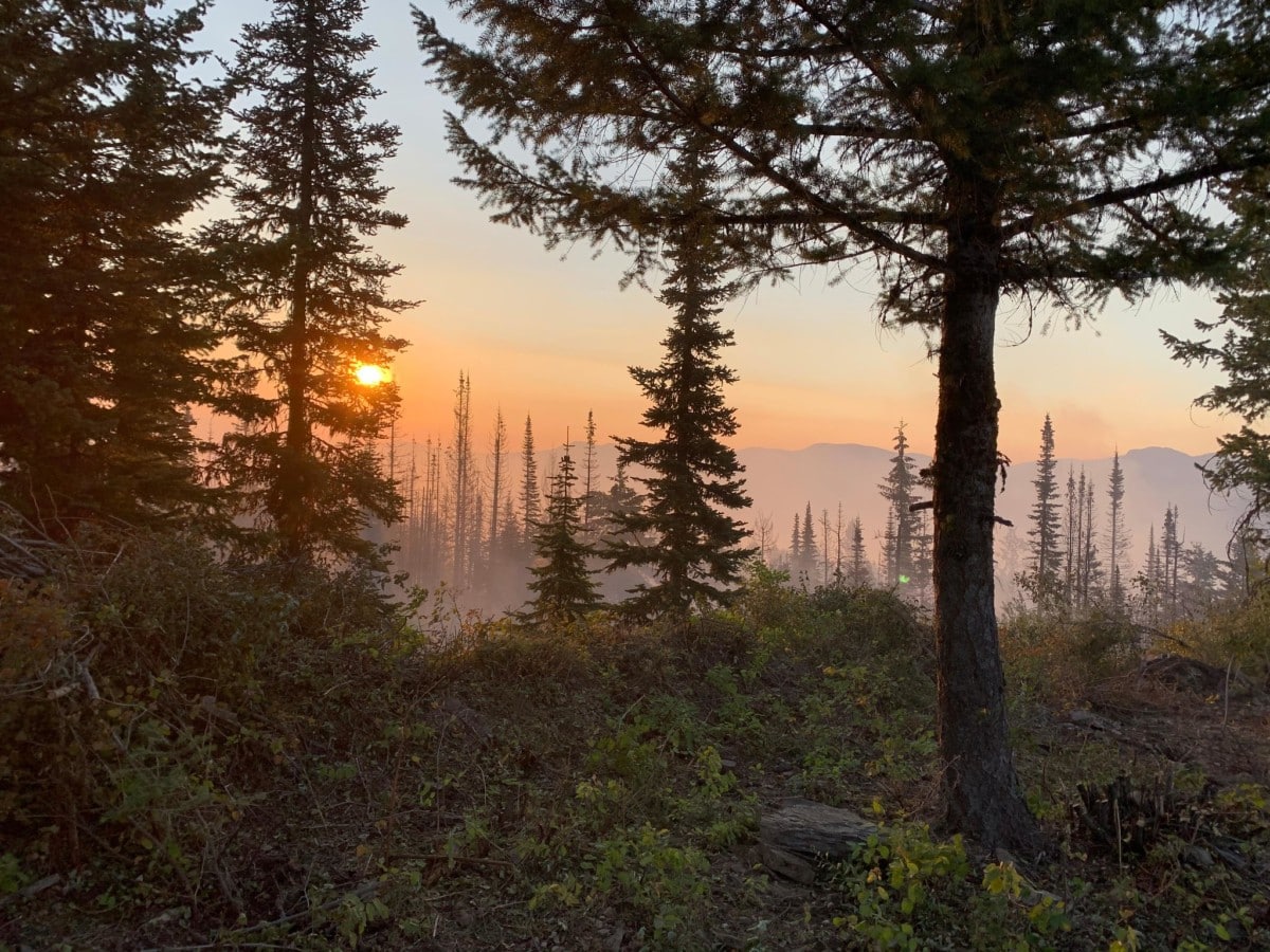 kootenai national forest