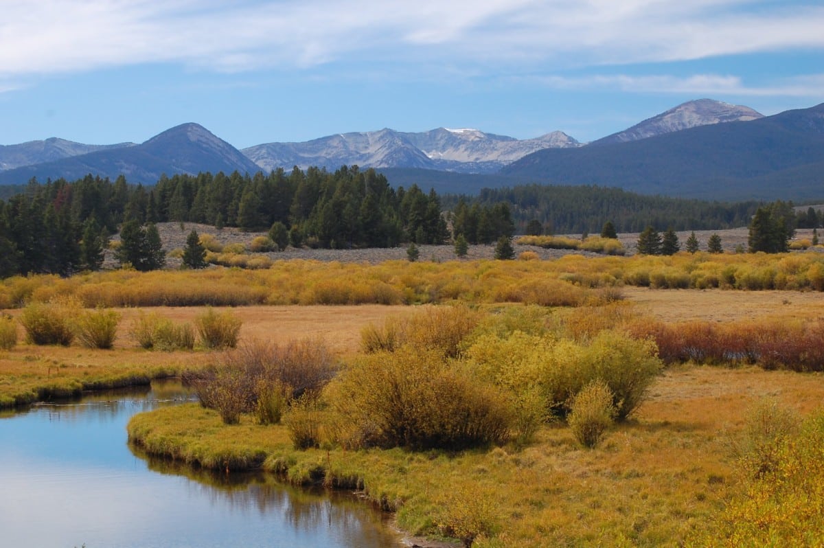 beaverhead-deerlodge national forest