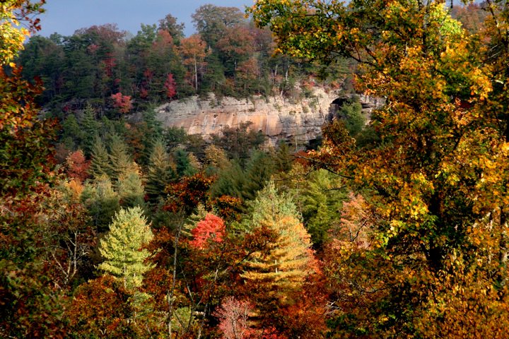 things to do in red river gorge